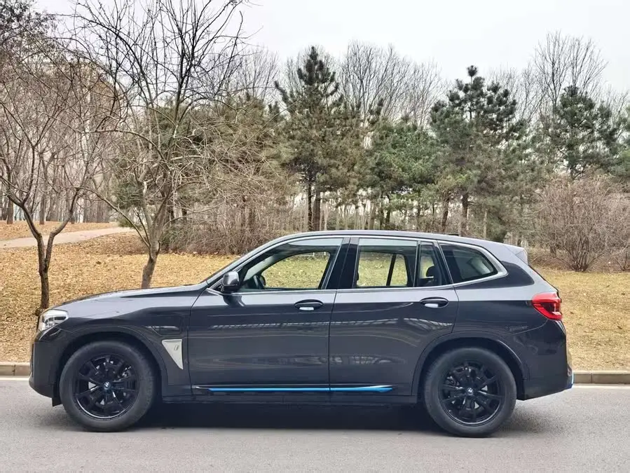 BMW iX3 2021 Leading Model