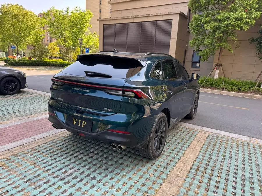 Fengxing T5 EVO 2021 1.5TD DCT Platinum Edition