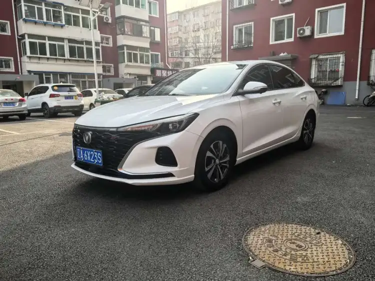 Yidong 2021 PLUS Blue Whale NE 1.4T GDI DCT Premium
