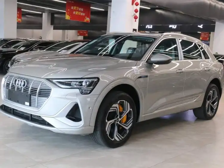 Audi e-tron 2021 50 quattro Selection