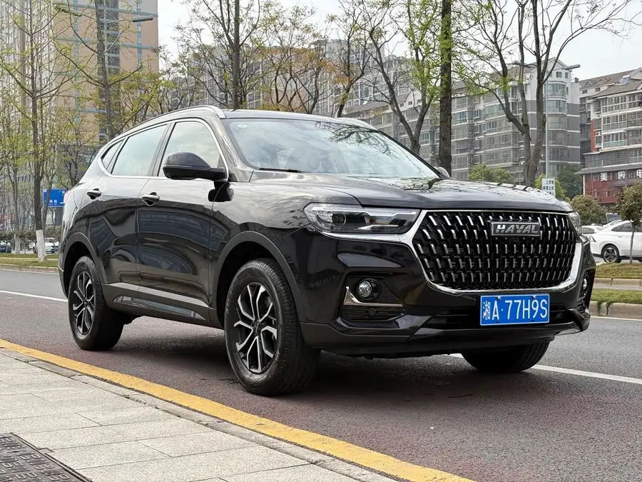 Haval H6 2023 National Trend Edition 1.5T Automatic Urban Version