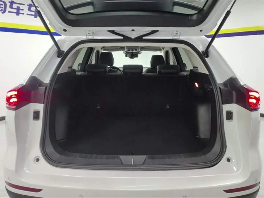 Haval H6 2021 National Trend Edition 1.5T Automatic Champion Version