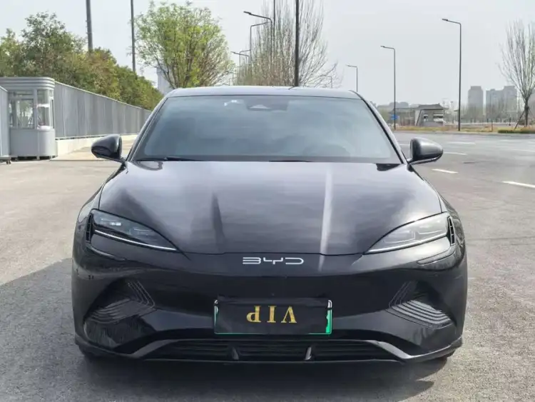 Sealion 2022 Model 550km Standard Range Rear-Wheel Drive Premium Version