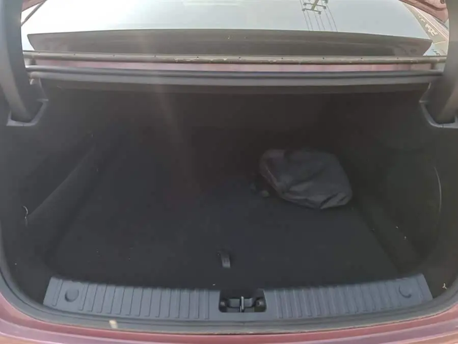 Sealion 2023 DM-i 1.5T 121km Honor Type