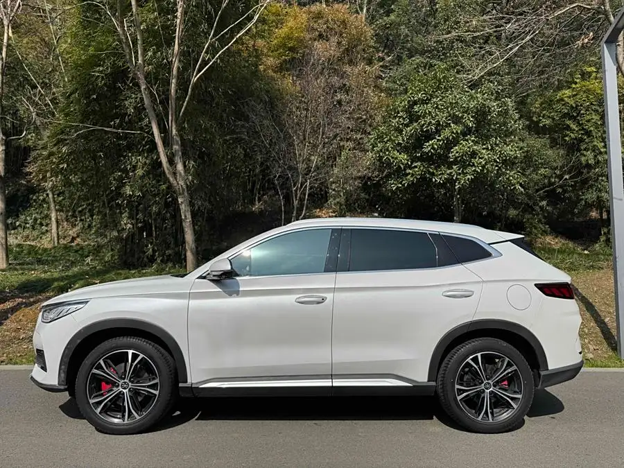 Song PLUS 2020 1.5T Automatic Premium