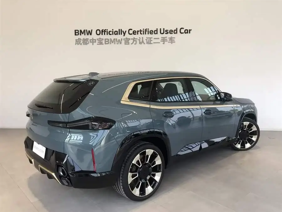 BMW XM 2023 Basic Model