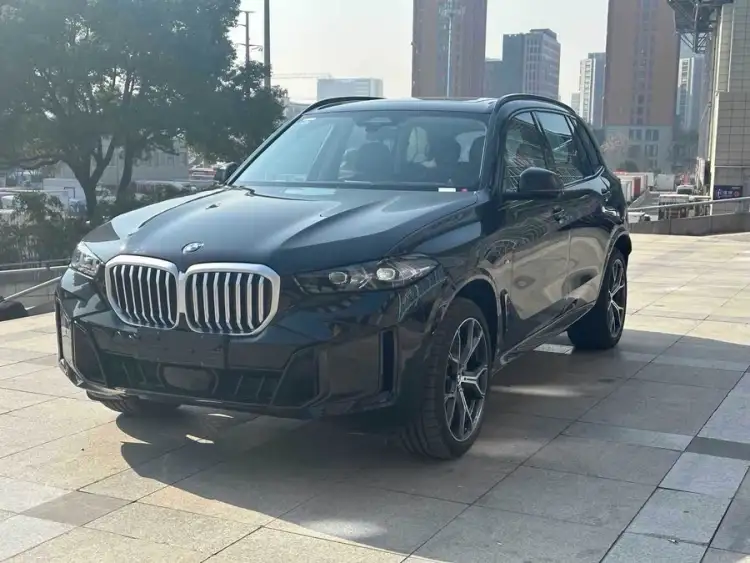 BMW X5 2023 xDrive 30Li M Sport Night Package