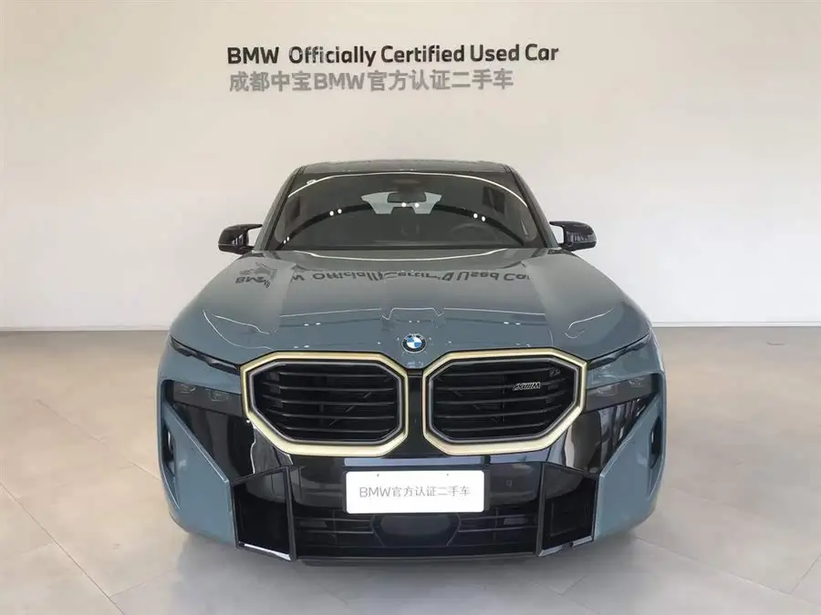 BMW XM 2023 Basic Model