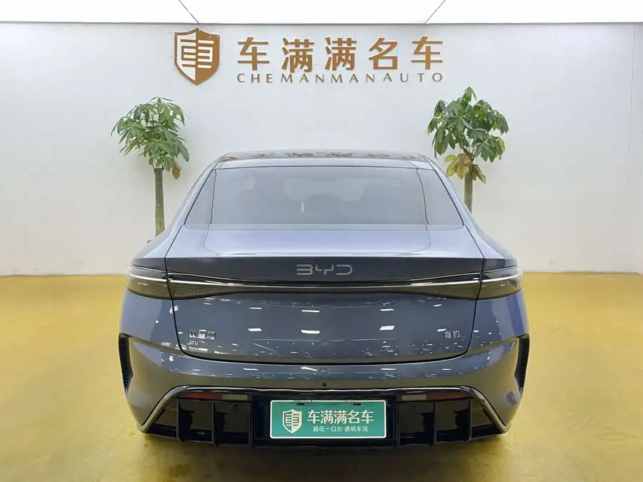 Sealion 2025 Model 650 Long Range Version