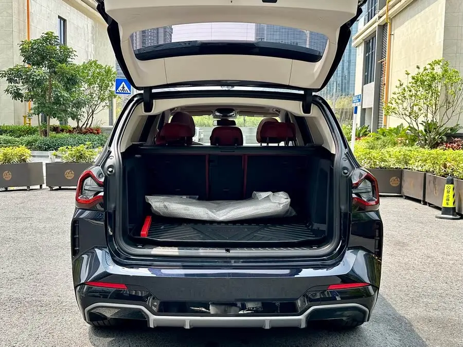 BMW iX3 2022 Leading Model