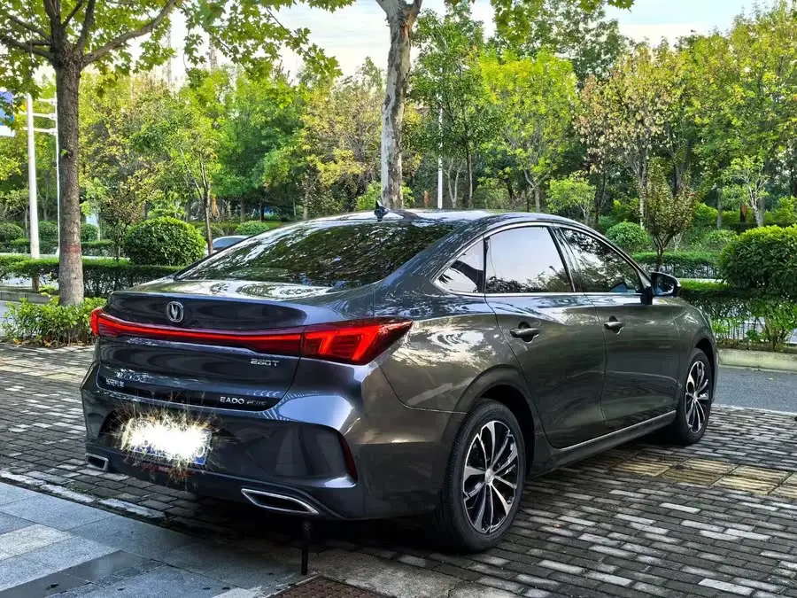 Yidong 2022 PLUS Blue Whale NE 1.4T GDI DCT Flagship Version