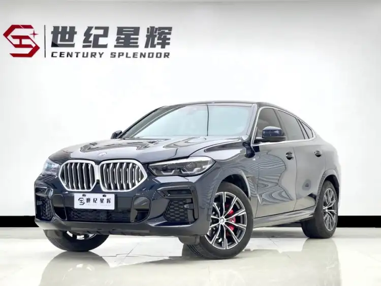 BMW X6 2022 xDrive30i M Sport Package