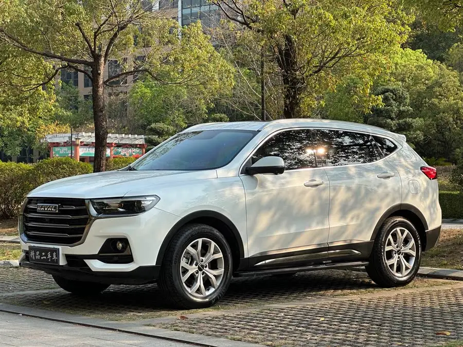 Haval H6 2021 National Trend Edition 1.5T Automatic Champion Version