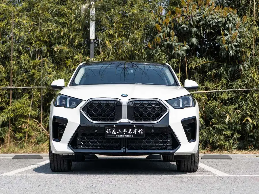 BMW X2 (Imported) 2024 sDrive25i M Sport Package