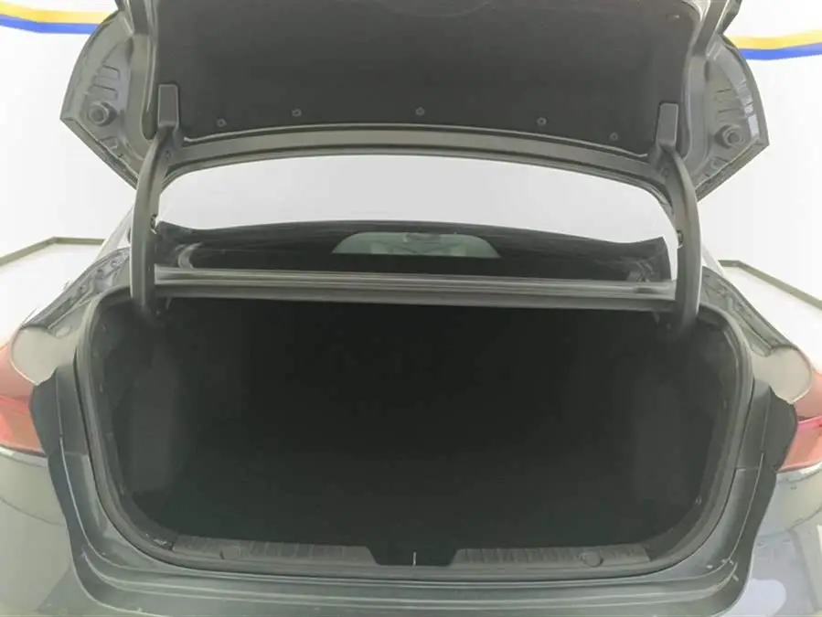 Yidong 2022 PLUS Blue Whale NE 1.4T GDI DCT Premium Edition