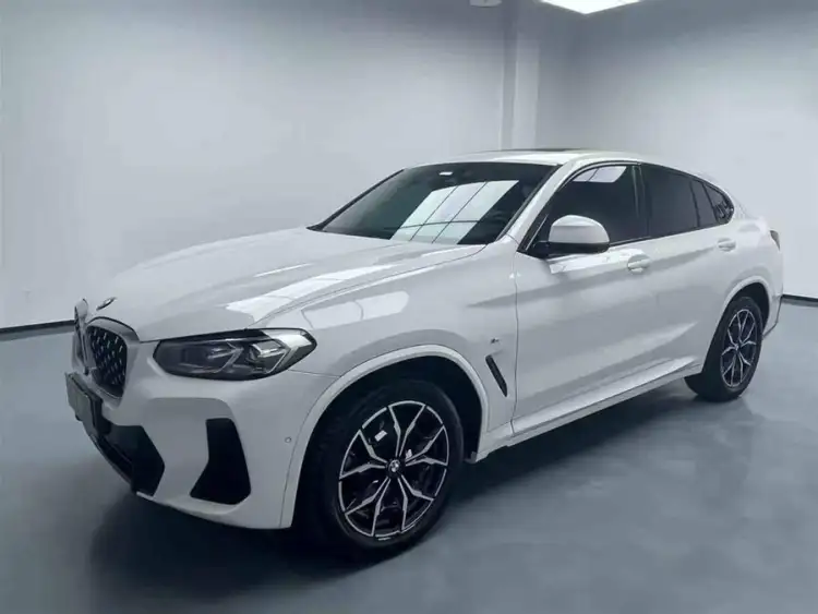 BMW X4 2022 xDrive 25i M Sport Package