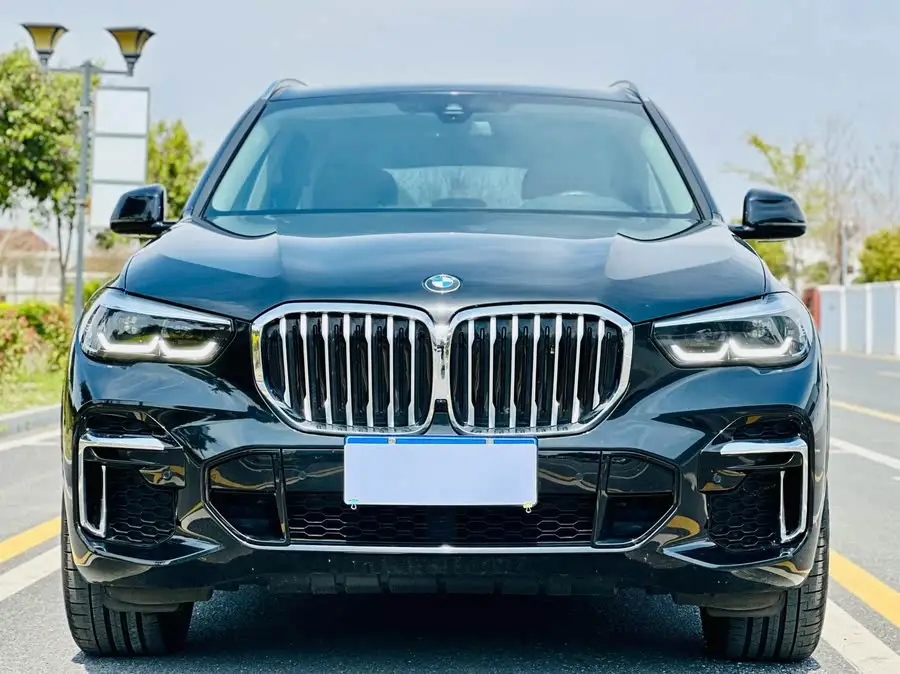 BMW X5 2022 xDrive 30Li M Sport Package