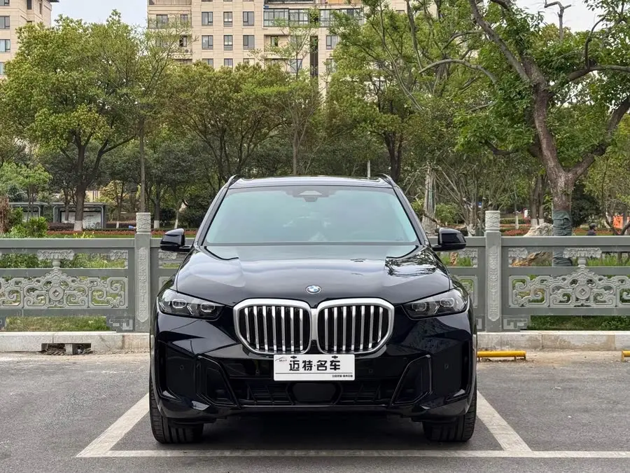 BMW X5 2023 xDrive 30Li M Sport Blackout Package