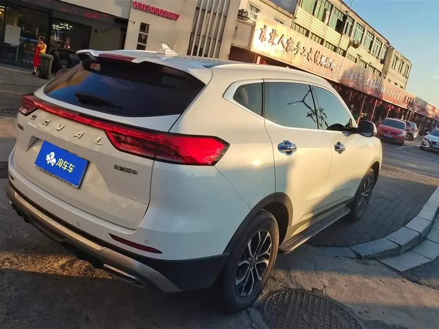 Haval H6 2021 National Trend Edition 1.5T Automatic Urban Version