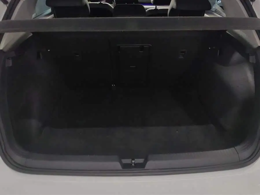 Golf 2021 280TSI DSG Pro