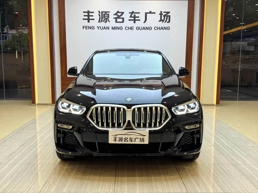 BMW X6 2021 xDrive40i M Sport Package