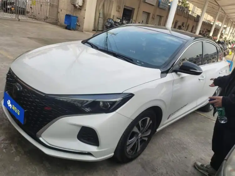 2020 Yidong PLUS Blue Whale NE 1.4T GDI DCT Premium