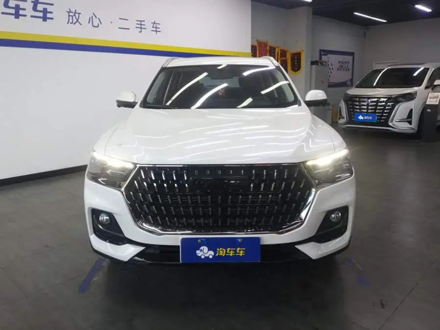 Haval H6 2023 National Trend Edition 1.5T Automatic Urban Version