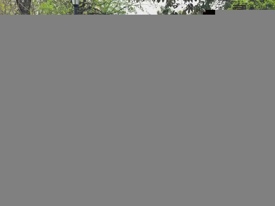 ألفارد 2021 هايبرد 2.5 لتر بريميوم