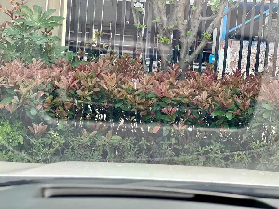 Golf 2023 380TSI DSG GTI