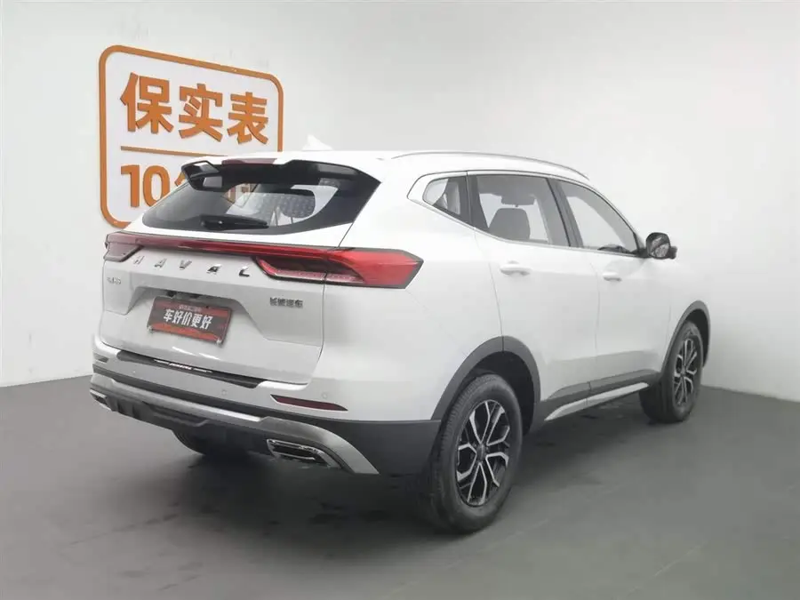 Haval H6 2023 National Trend Edition 1.5T Automatic Urban Version