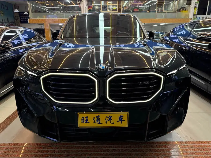 بي إم دبليو XM 2023 50e