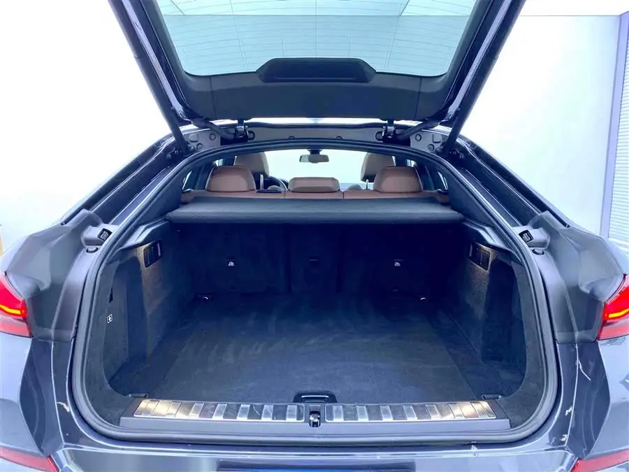 BMW X6 2020 xDrive30i M Sport Package