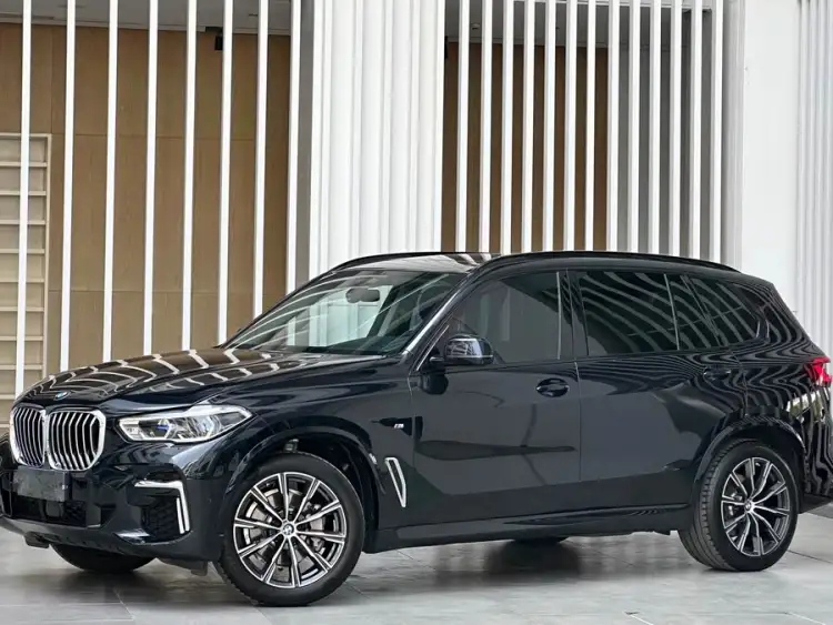 BMW X5 2022 xDrive 30Li M Sport Package