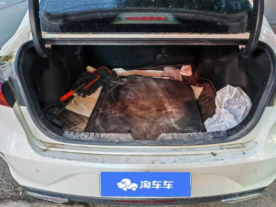 Yidong 2021 PLUS Blue Whale NE 1.4T GDI DCT Premium Model