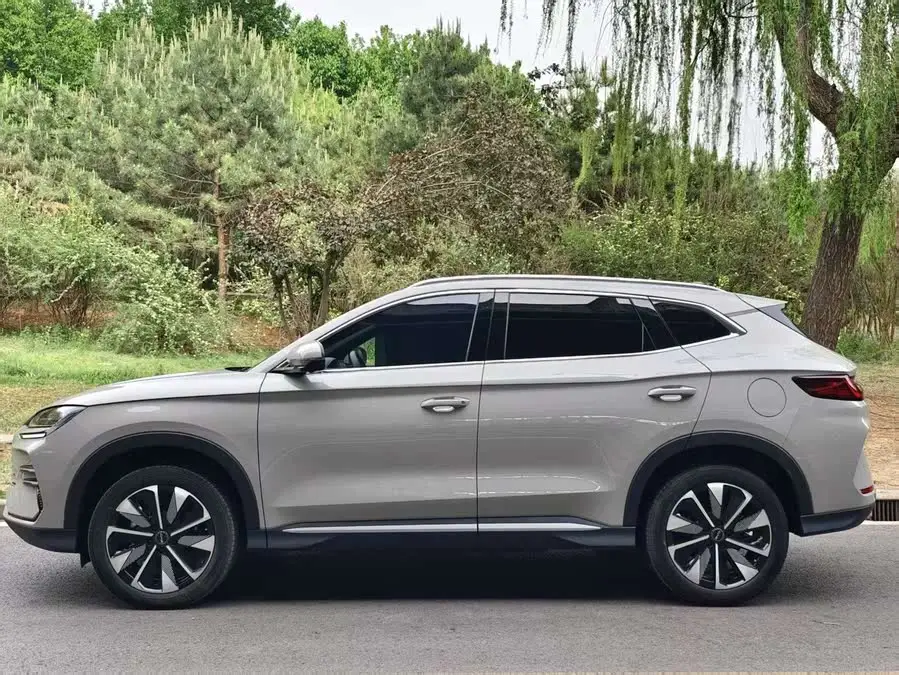 Song PLUS 2020 1.5T Automatic Premium