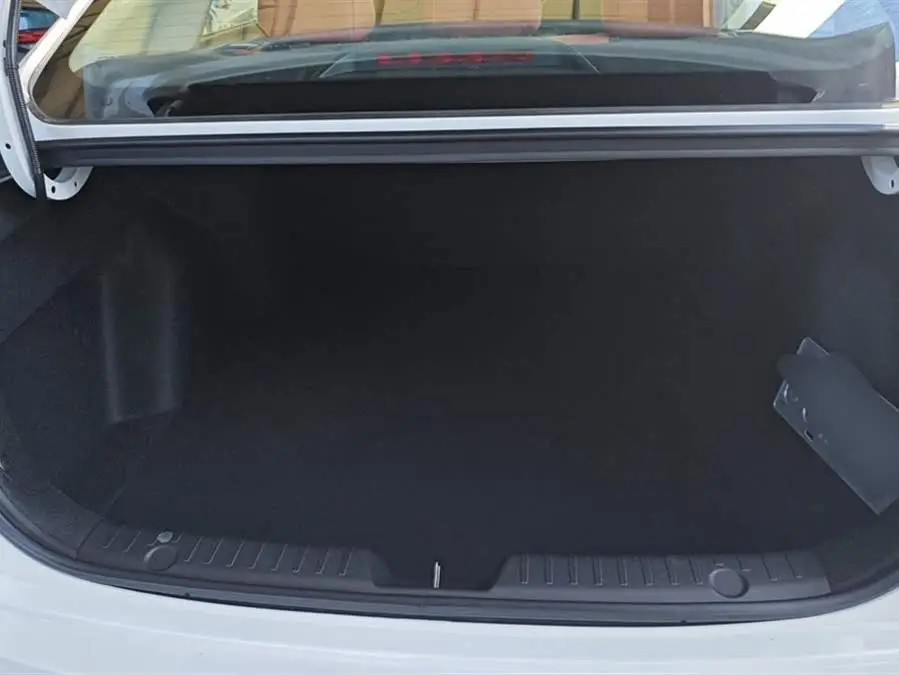 Yidong 2024 PLUS Blue Whale NE 1.4T GDI DCT High Energy Version