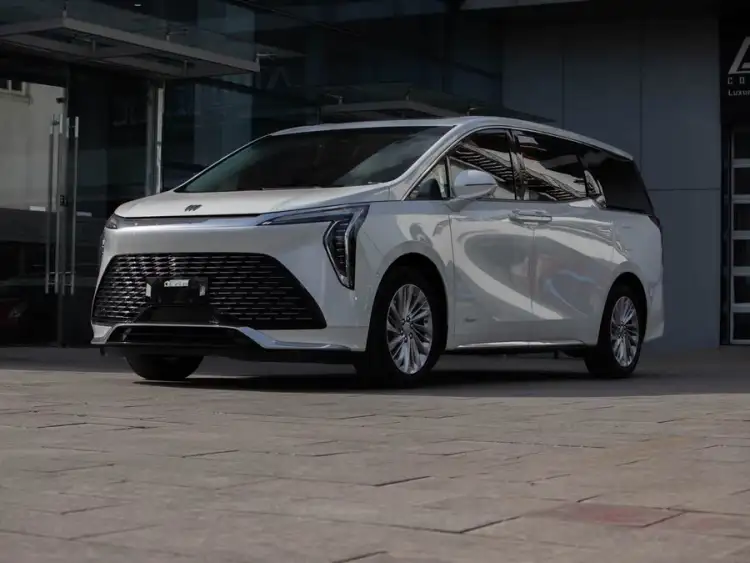 Century 2023 2.0T Six-Seater Yunshi Edition