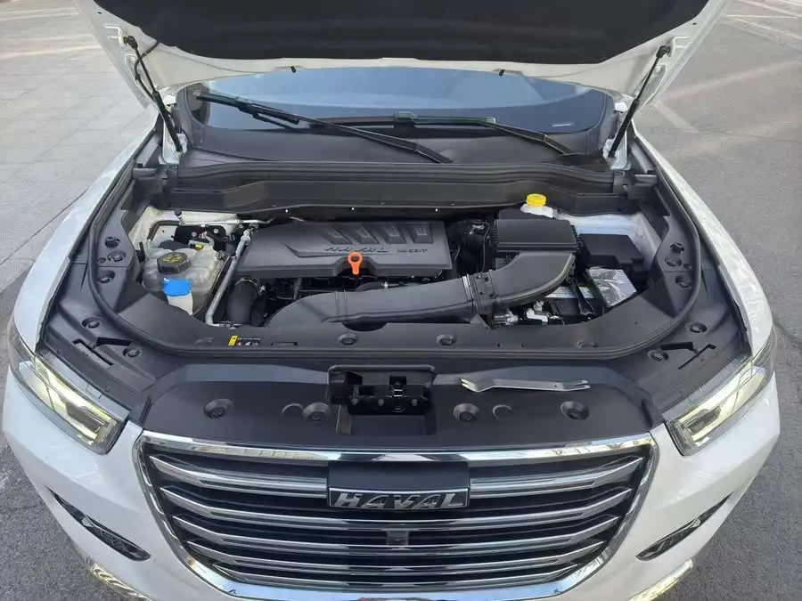Haval H6 2021 1.5GDIT Automatic Champion Edition