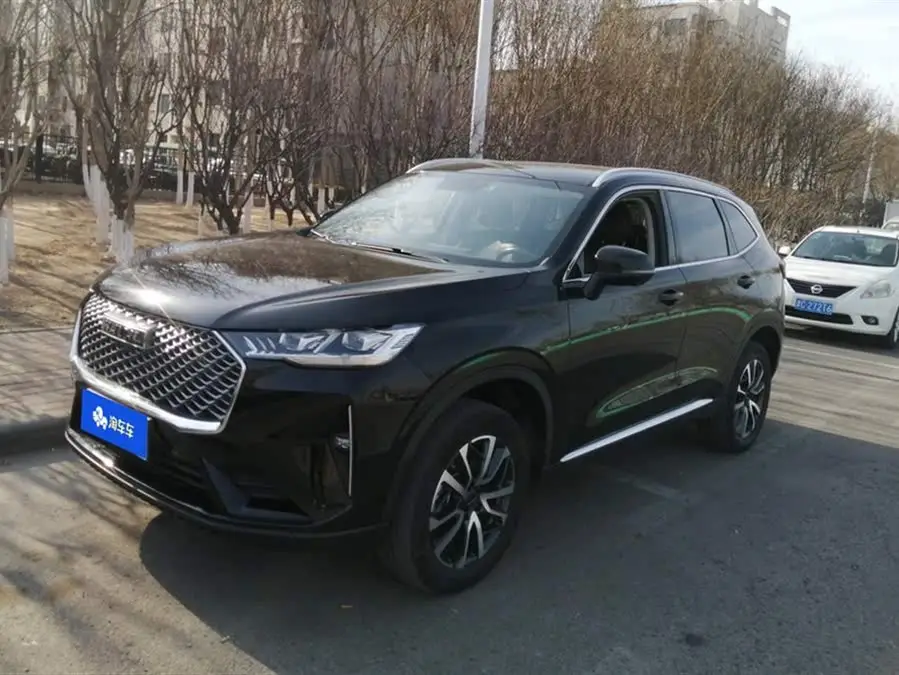 Haval H6 2021 Model Third Generation 1.5T Automatic Two-Wheel Drive Pro
