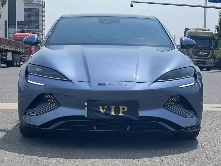 Sealion 2024 Honor Edition 550km Premium Model