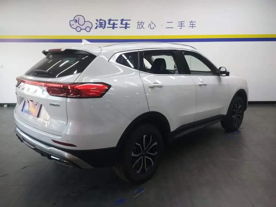 Haval H6 2023 National Trend Edition 1.5T Automatic Urban Version