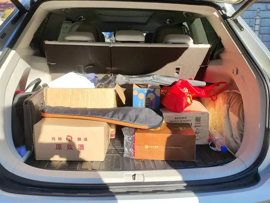 Weiran 2020 Model 380TSI Premium Edition