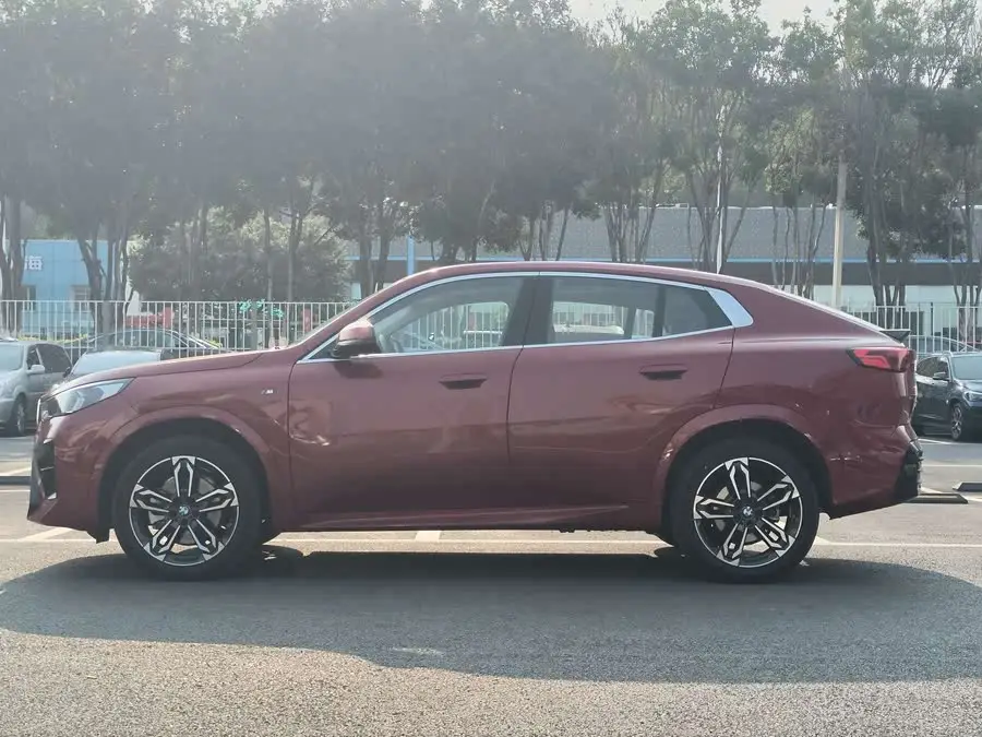 BMW X2 (Imported) 2024 Model sDrive25i M Sport Package