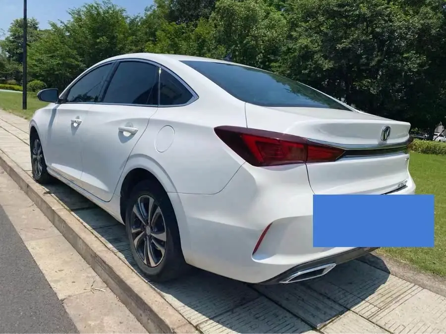 Yidong 2020 PLUS Blue Whale NE 1.4T GDI DCT Premium Edition