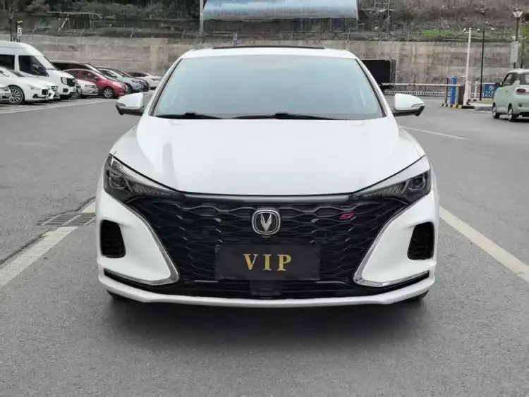 Yidong 2020 Plus Blue Whale NE 1.4T GDI DCT Flagship
