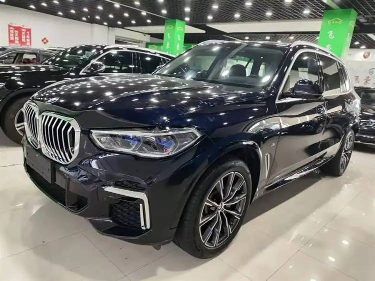 BMW X5 2023 xDrive 30Li M Sport Package