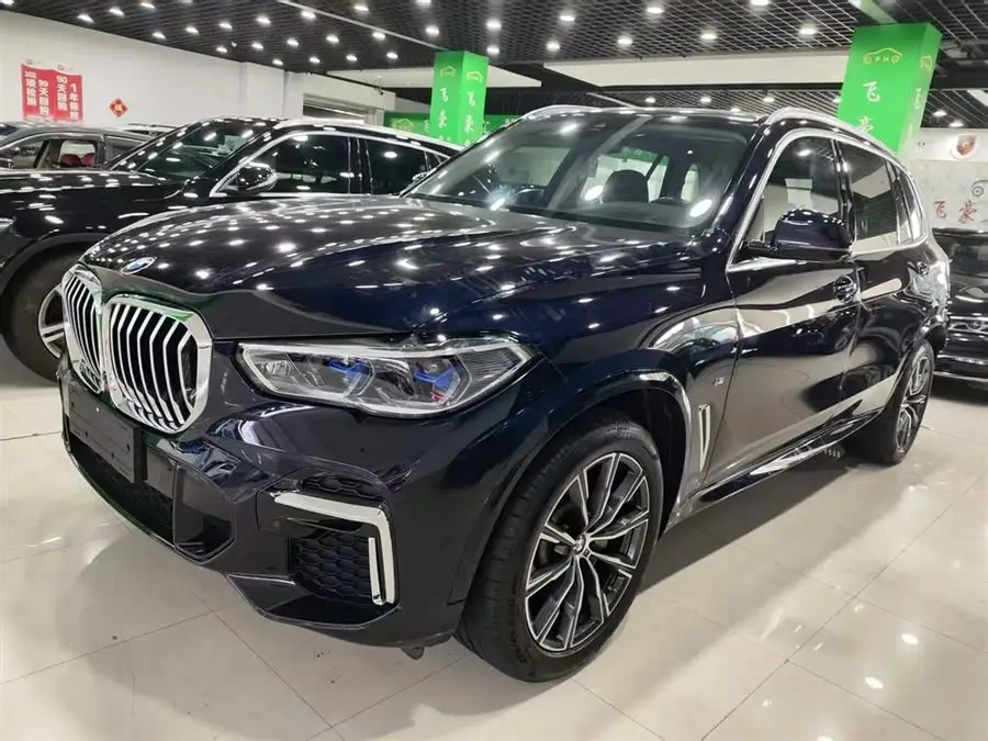 BMW X5 2023 xDrive 30Li M Sport Package