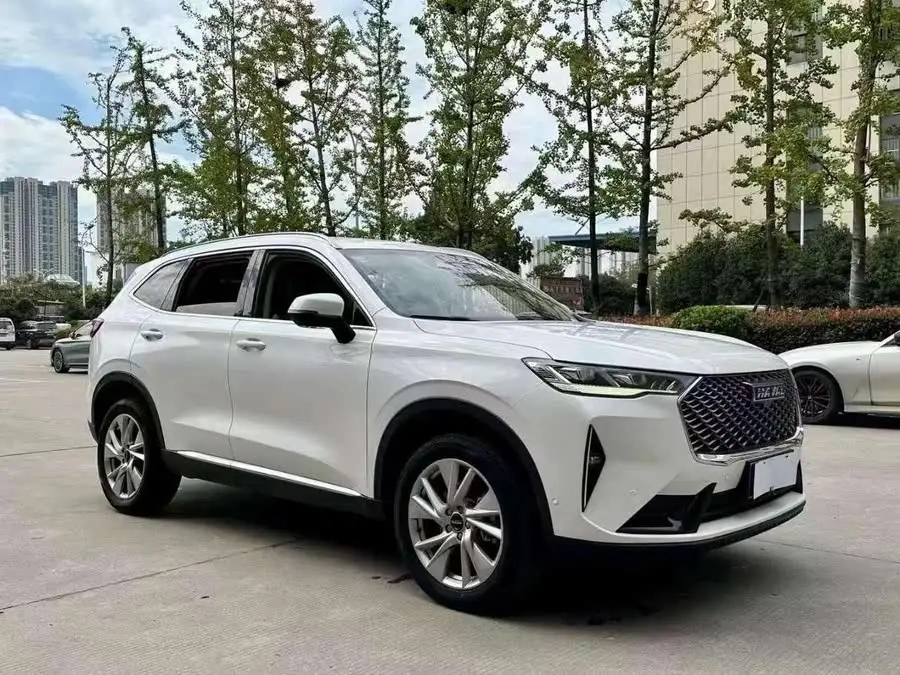 Haval H6 2021 Model Third Generation 2.0T Automatic Two-Wheel Drive Max