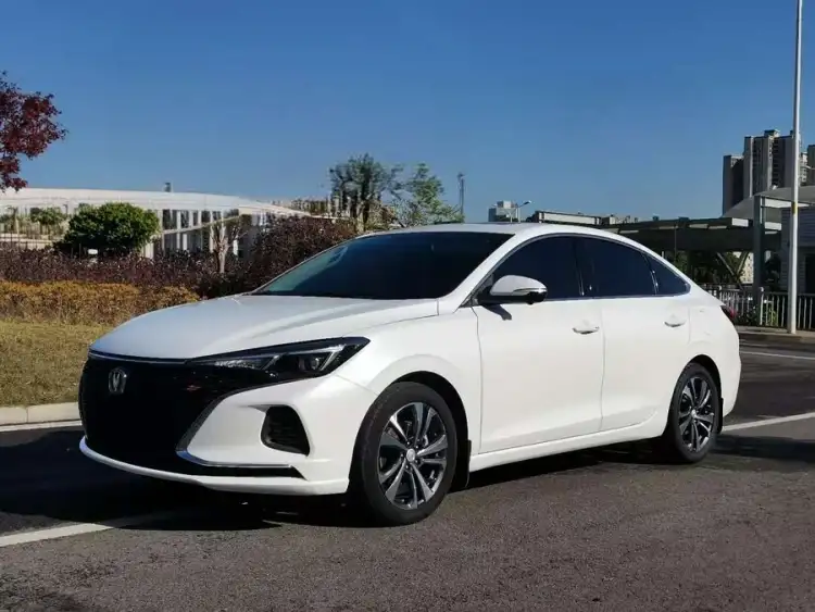 2021 Yidong PLUS Blue Whale NE 1.4T GDI DCT Premium