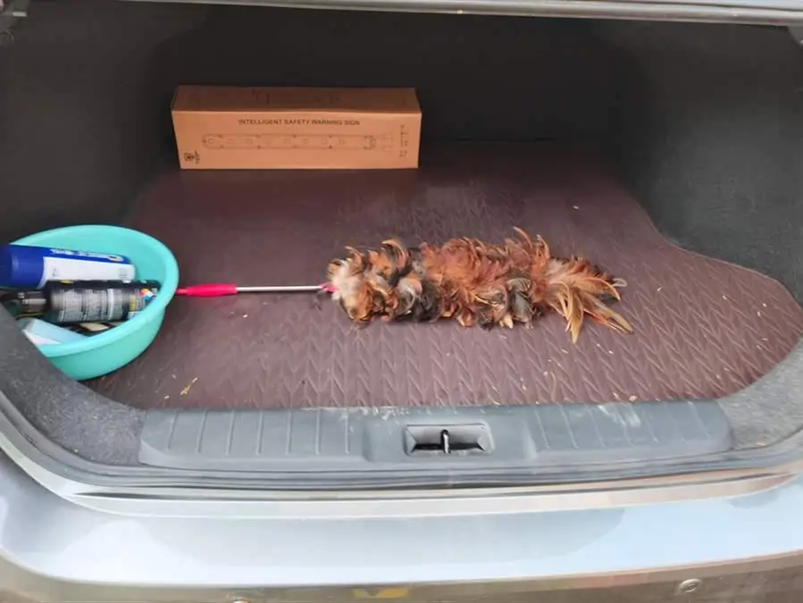 2023 Nissan Sylphy 1.6L CVT Enjoy Version